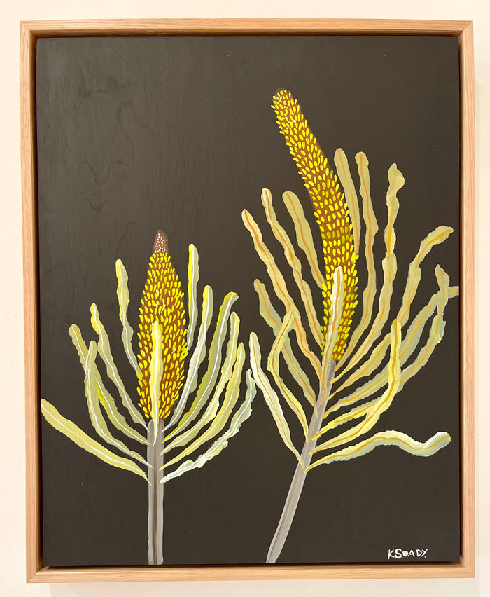 Banksias #6