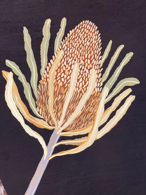 Pod and Banksia #3