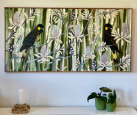 Black Cockatoos