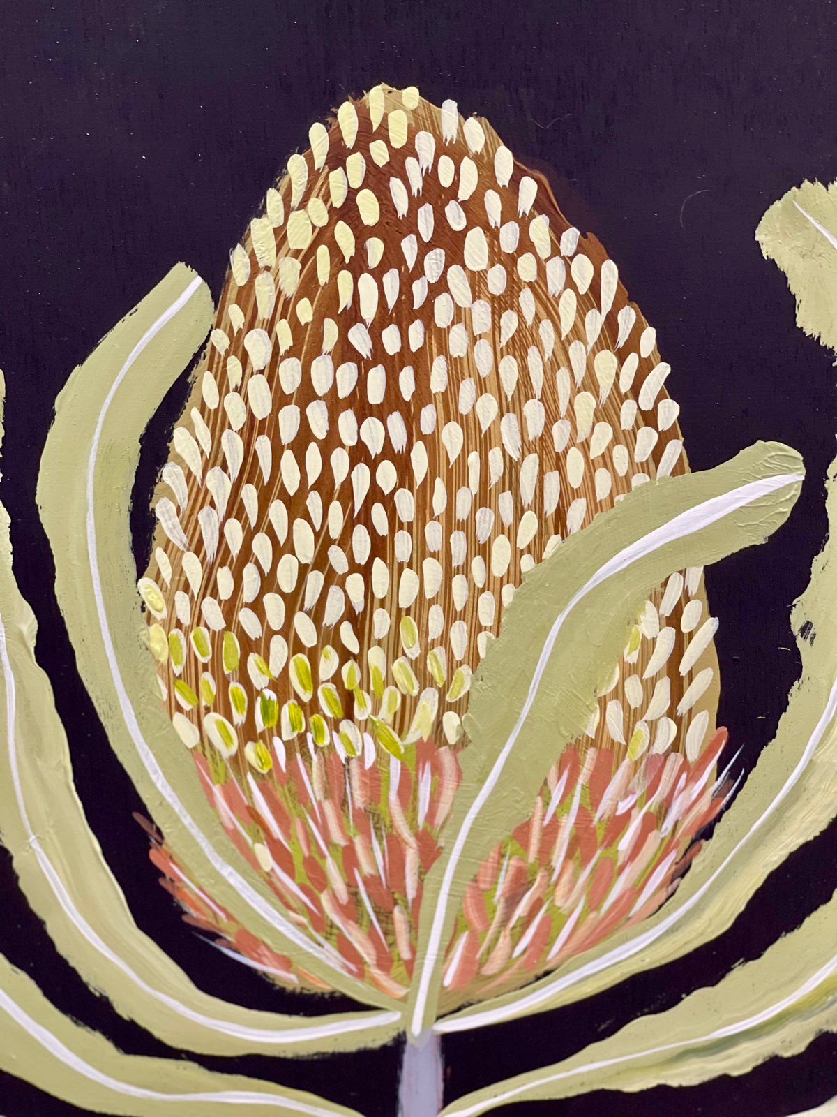 Banksia #9