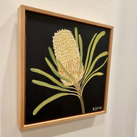 Banksia #3