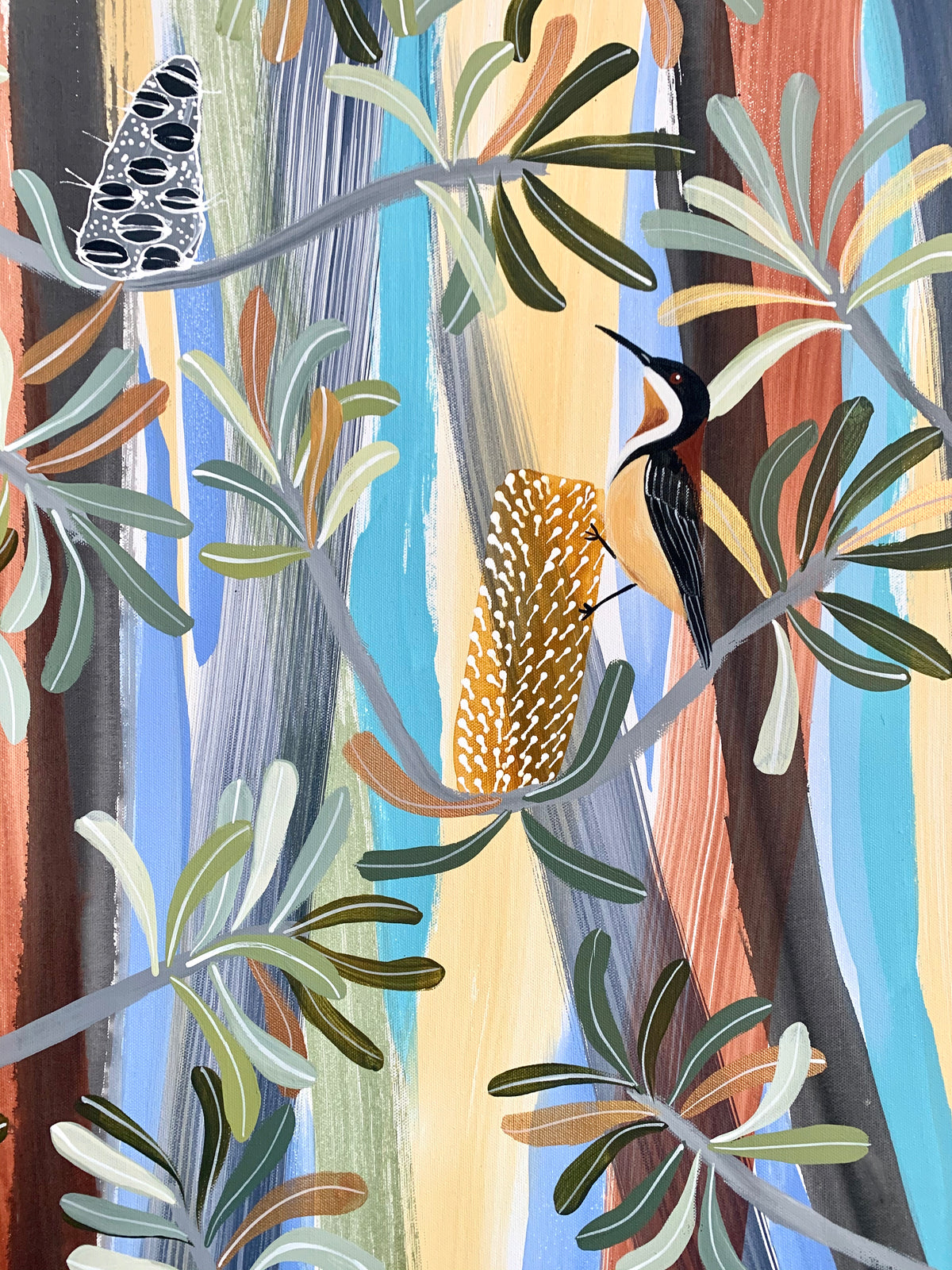 Eastern Spinebills in the banksia