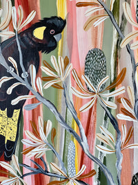 Desert Banksia and Black Cockatoos