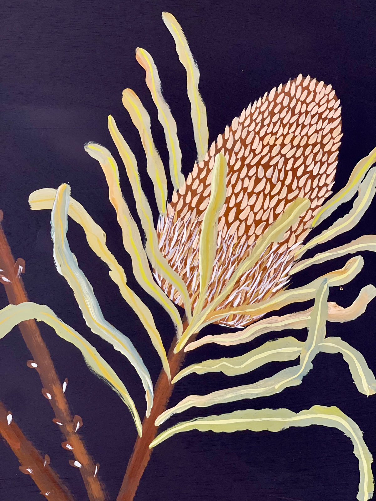 Pods and Banksia #2