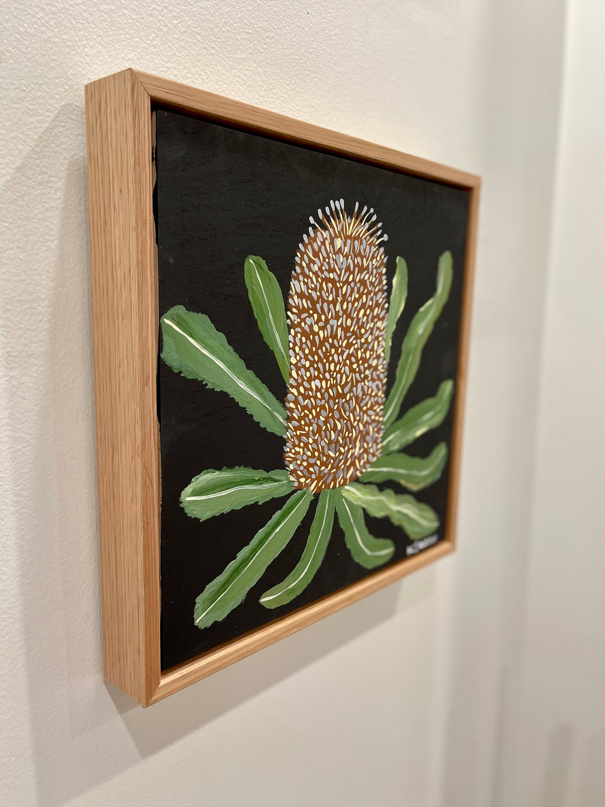 Banksia #8