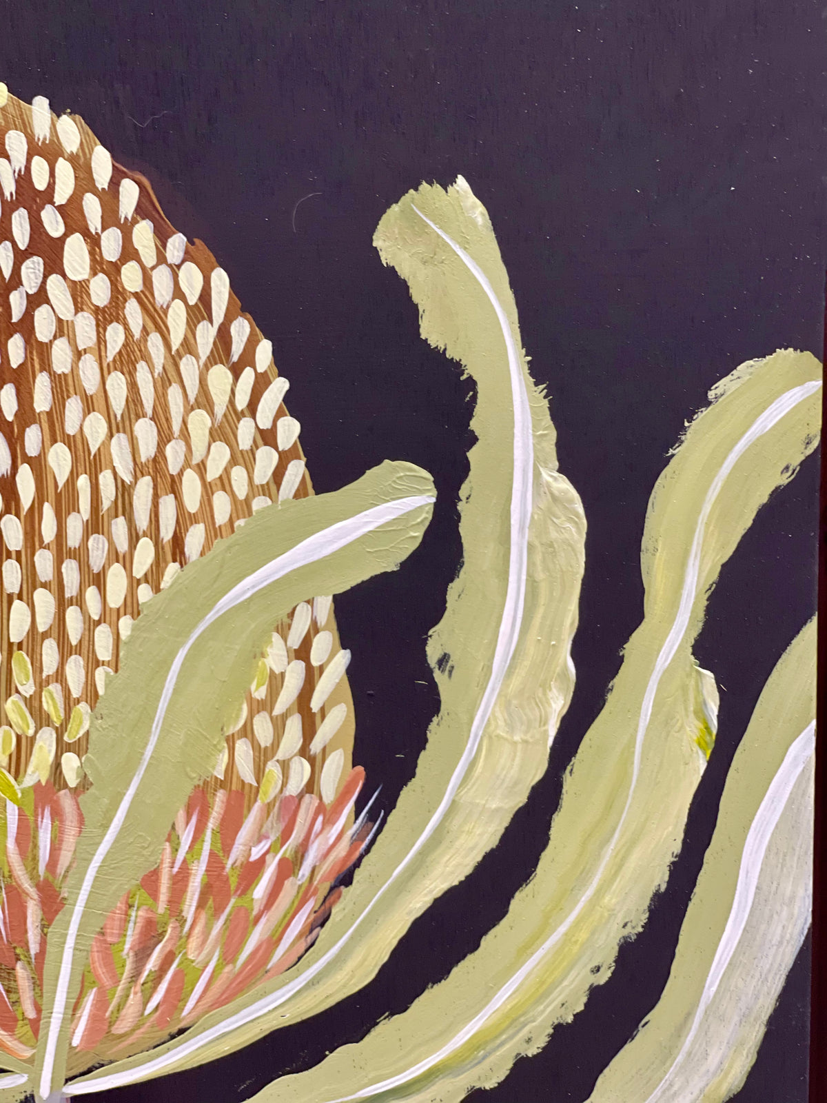 Banksia #9