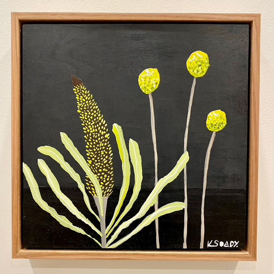 Billy Buttons & Banksia #6