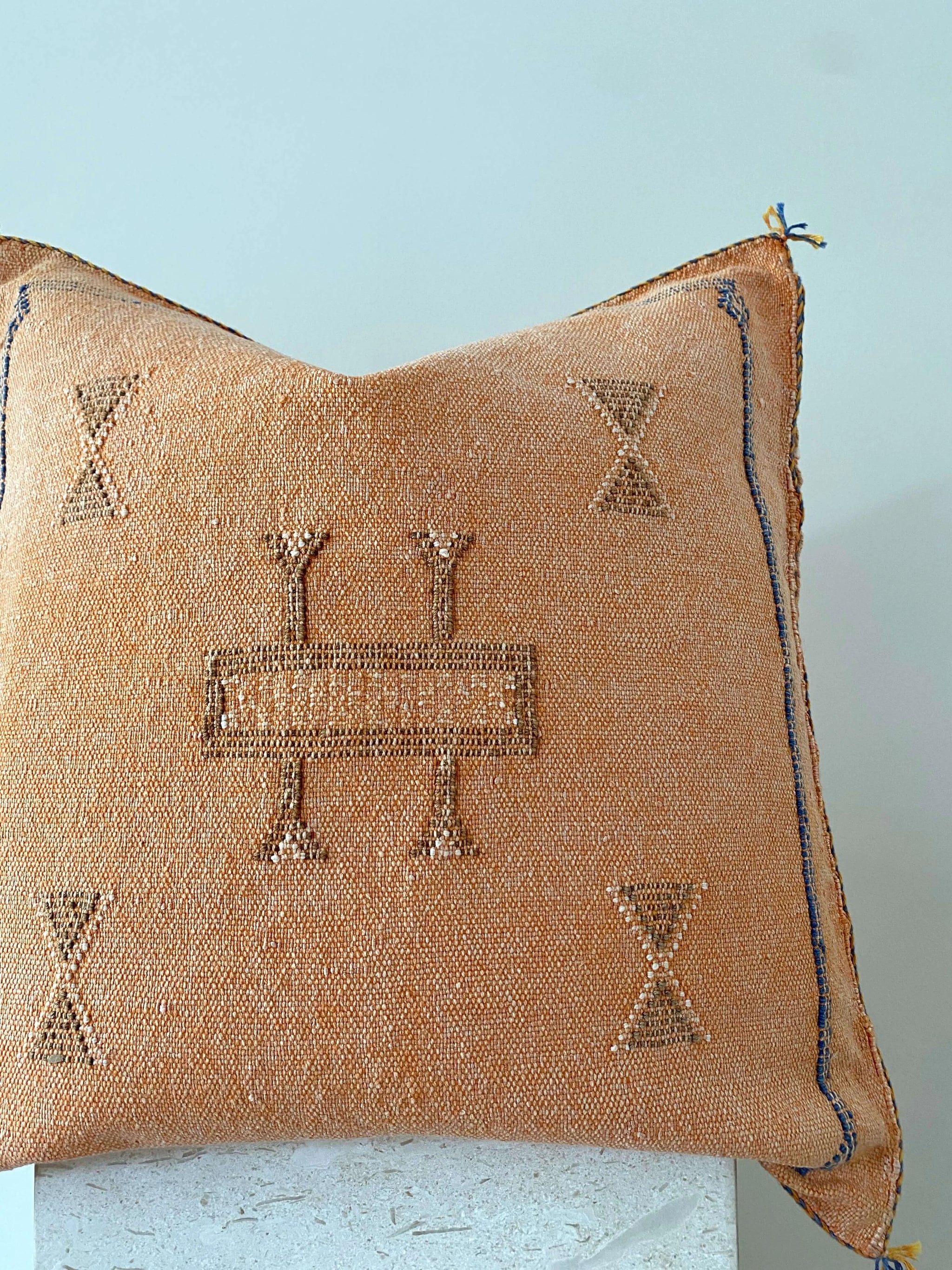 Cactus sales silk pillow