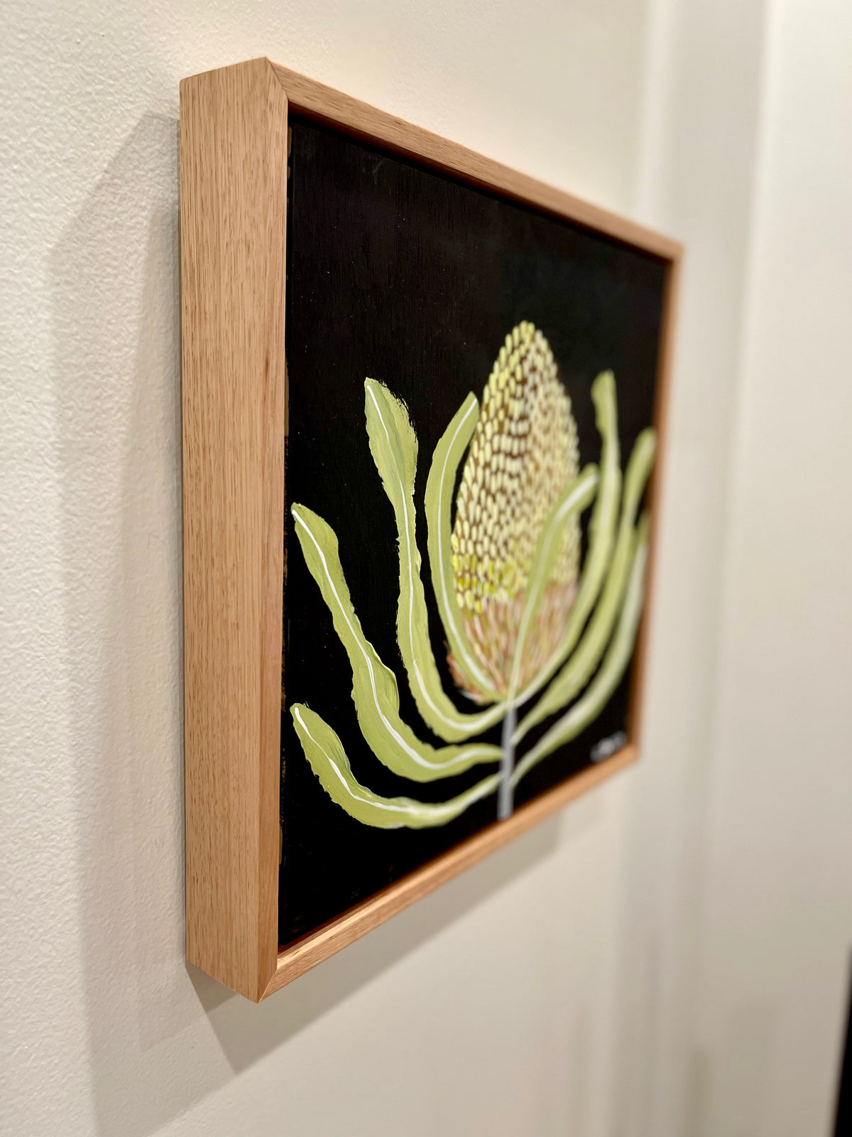 Banksia #9