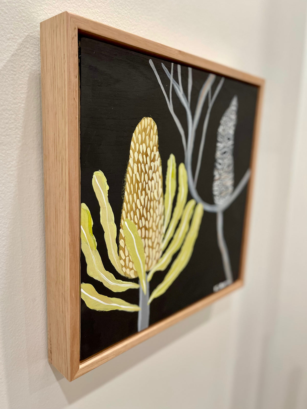 Pod and Banksia #4