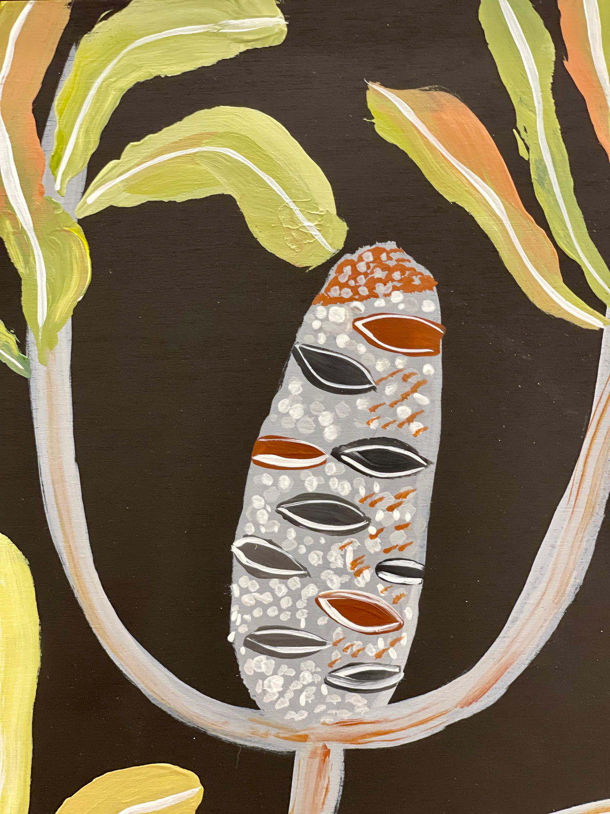 Pod and banksia #5