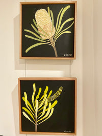 Banksia #3