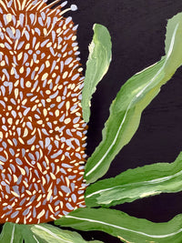 Banksia #8