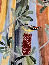 Pardalotes in the Banksia #3