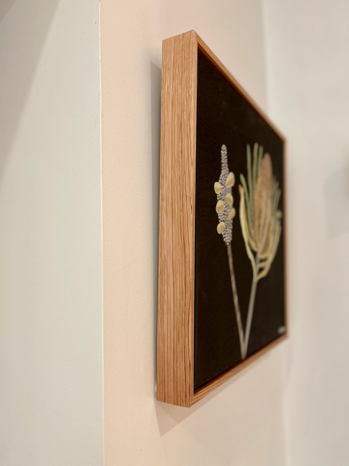 Pod and Banksia #3