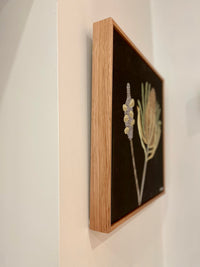 Pod and Banksia #3