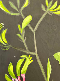 Waratah and Kangaroo Paw