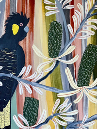 Dessert Banksia and  Black Cockatoos #2