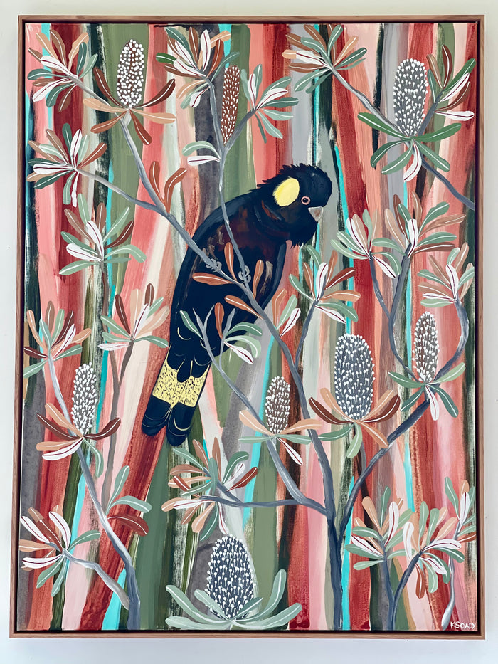 Desert Banksia and Black Cockatoo