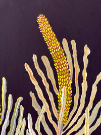Banksias #6