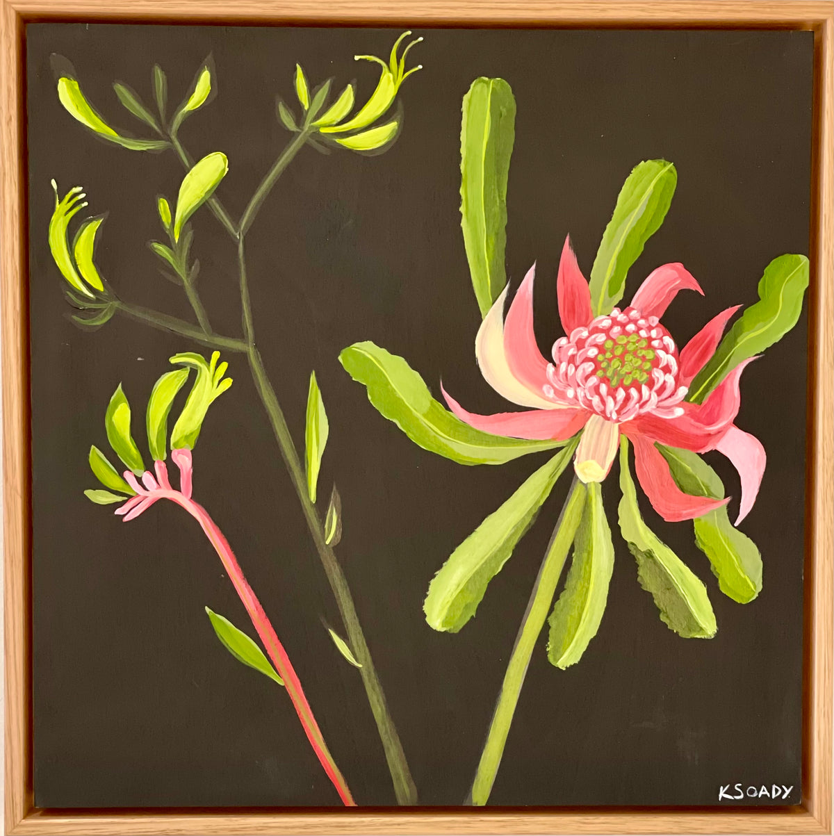 Waratah and Kangaroo Paw