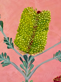 Banksia #17