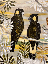 Black Cockatoos in Autumn Natives