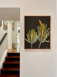 Banksias #6