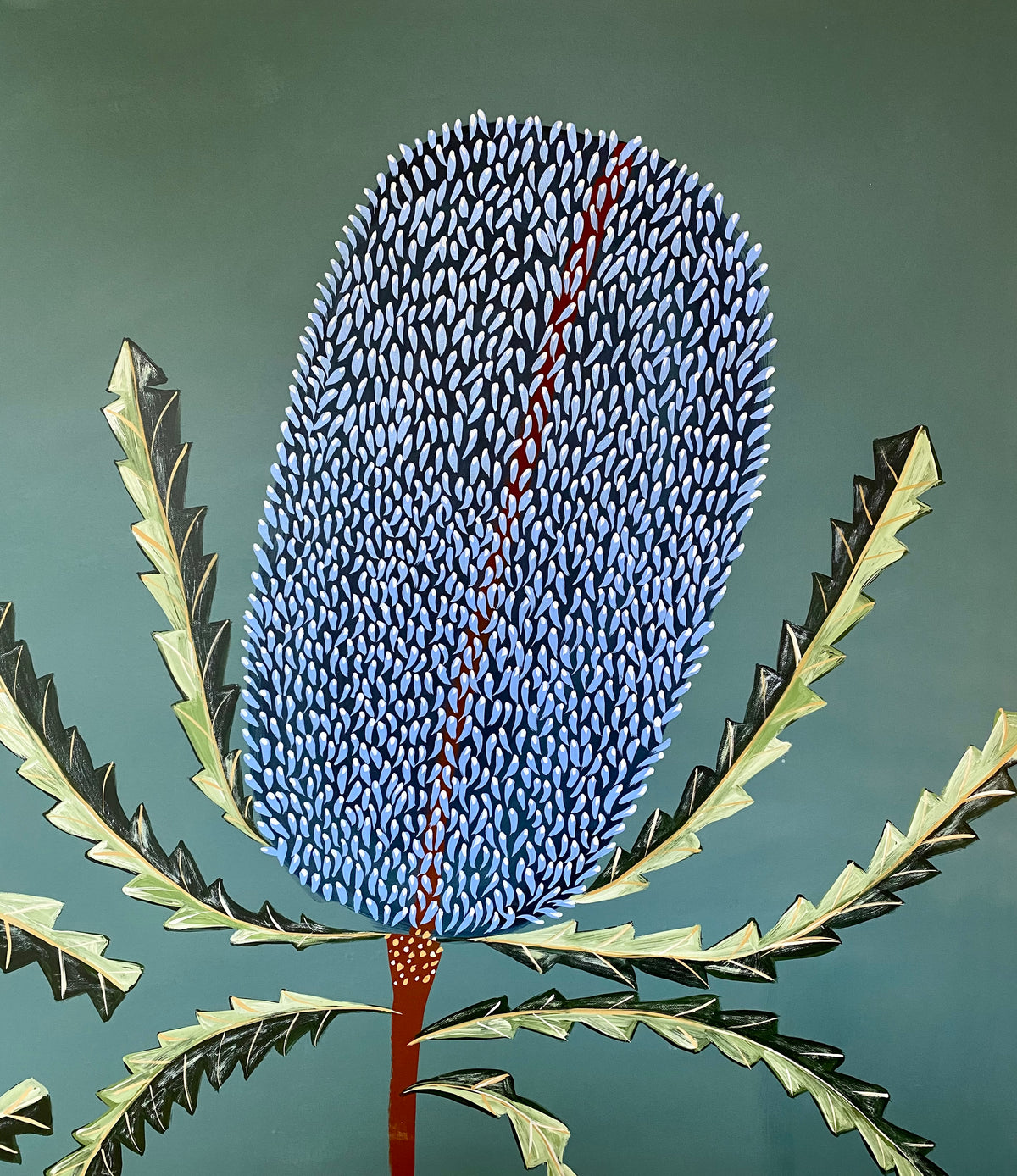 Blue Banksia