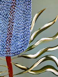 Blue Banksia Flora