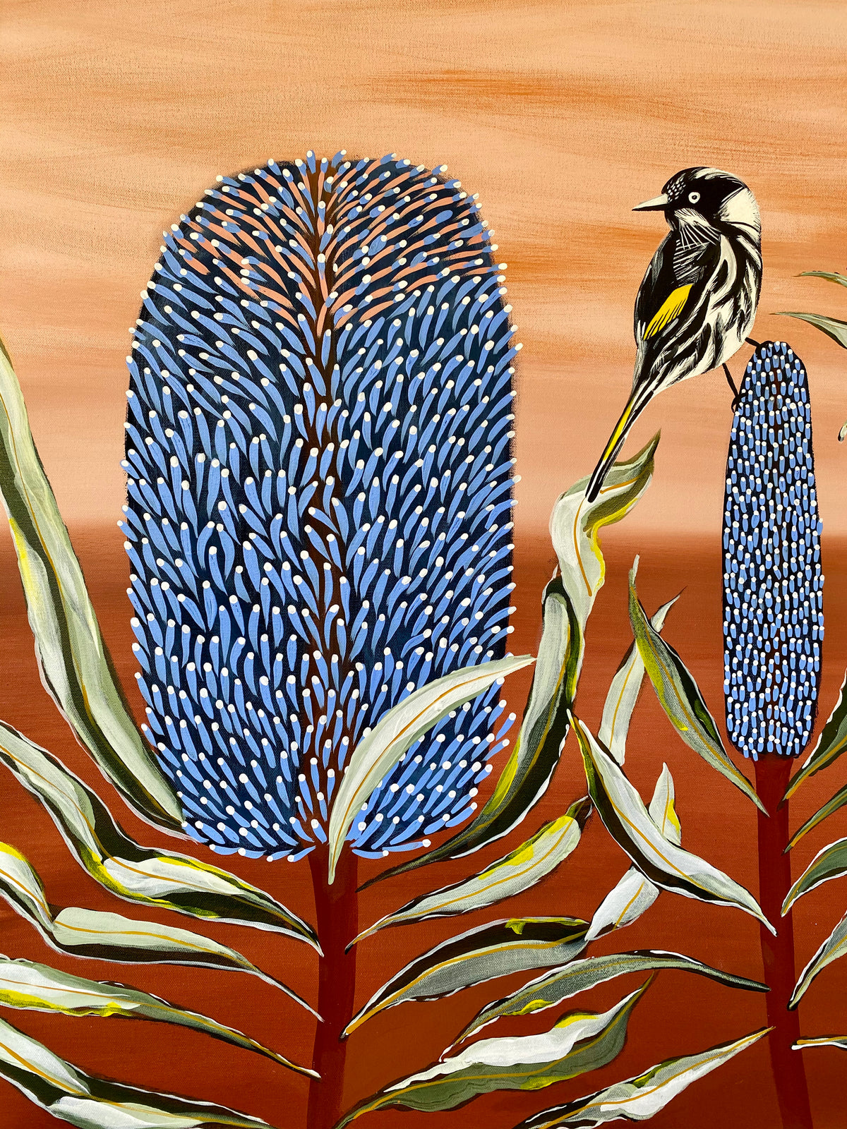 Blue Banksia green &  Honeyeater