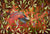 Lyrebird in the Banksia #1