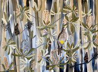 Wattlebird in the Banksias