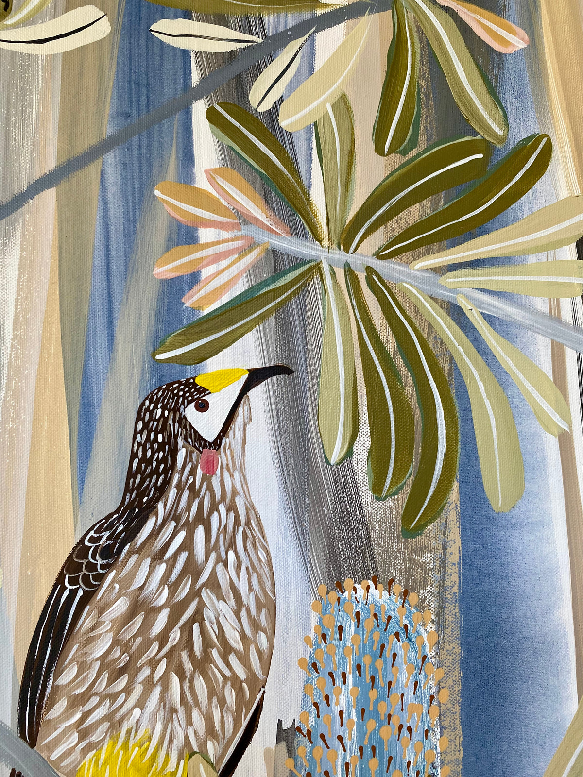 Wattlebird in the Banksias