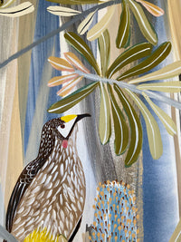 Wattlebird in the Banksias