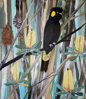 Black Cockatoos in the Natives #3