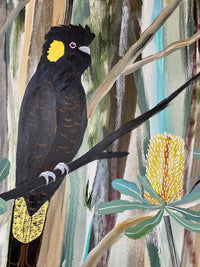 Black Cockatoos in the Natives #3