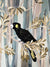Winter Black Cockatoos