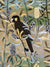 Black Cockatoo Banksia  #3