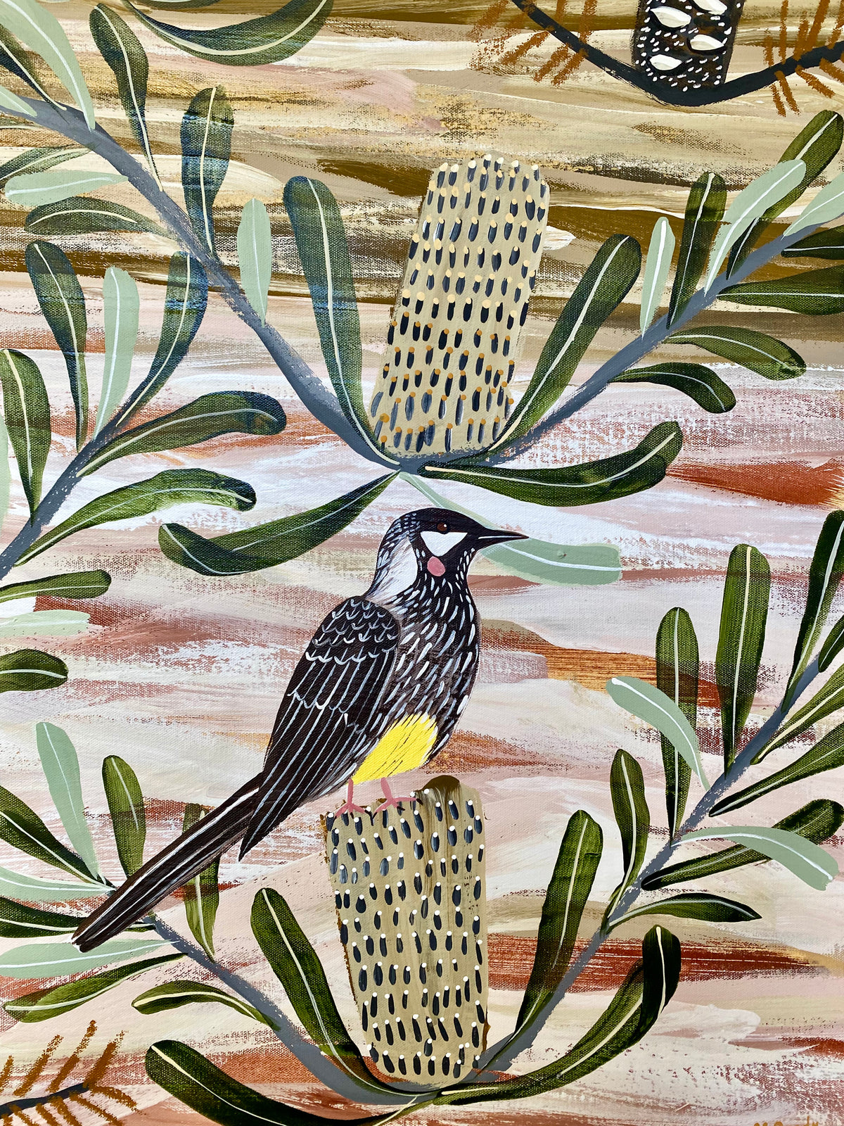 Desert Native and Wattlebirds