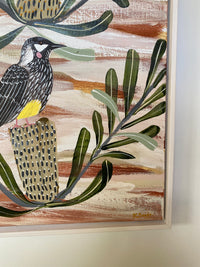 Desert Native and Wattlebirds