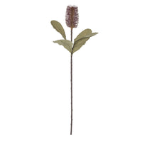 Banksia Stem Mauve