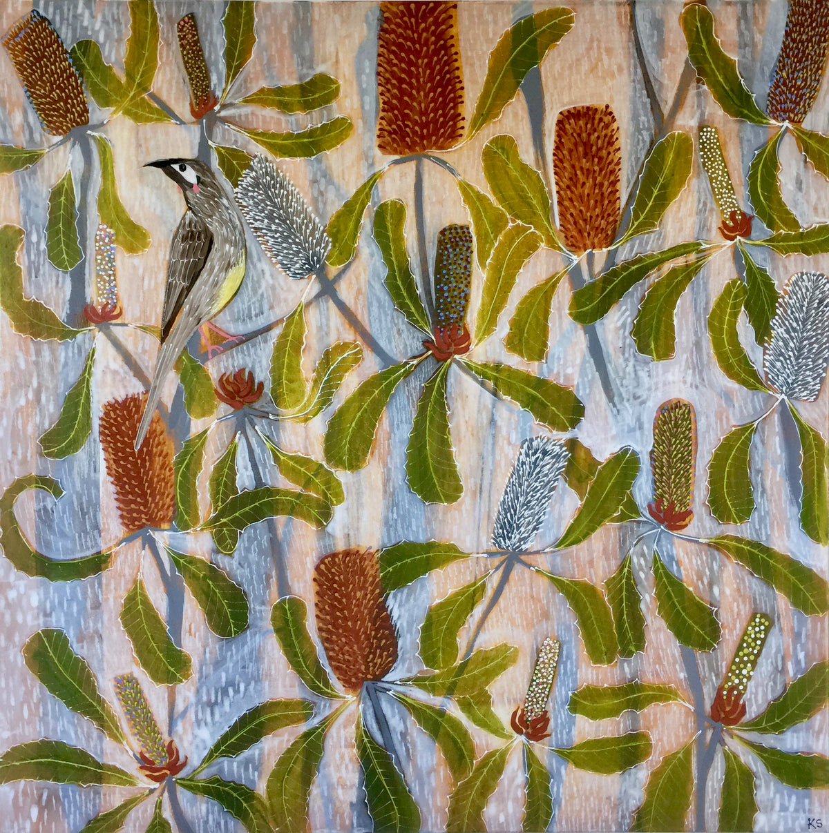 Wattlebird in the Bryon Banksias