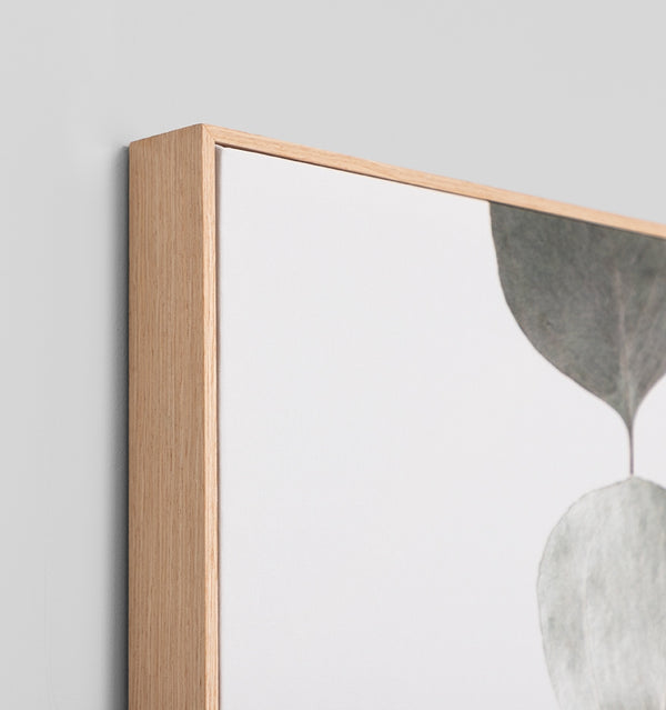 Eucalyptus Branch Canvas