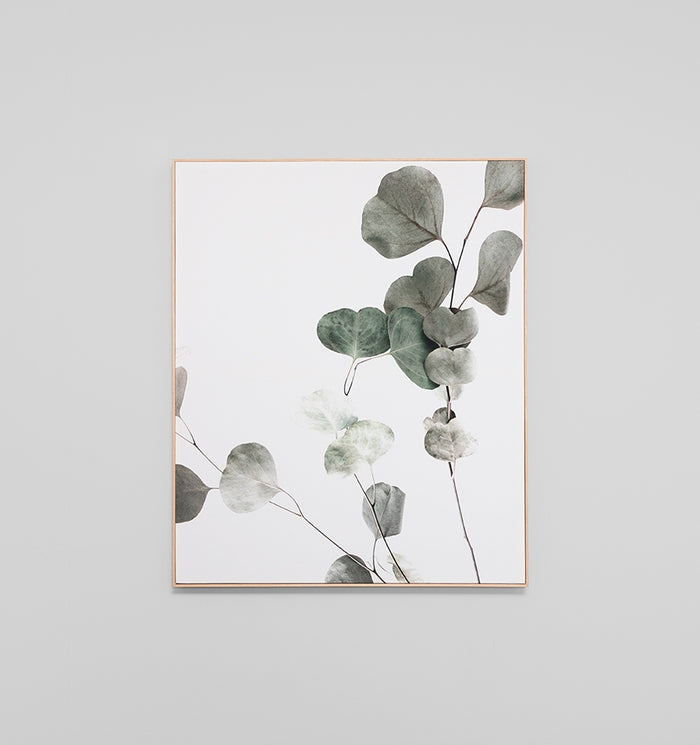 Eucalyptus Branch Canvas
