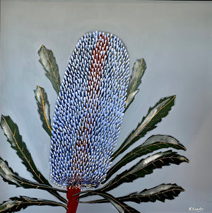 Hinchinbrook Blue  Banksia