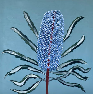 Blue Banksia Portrait