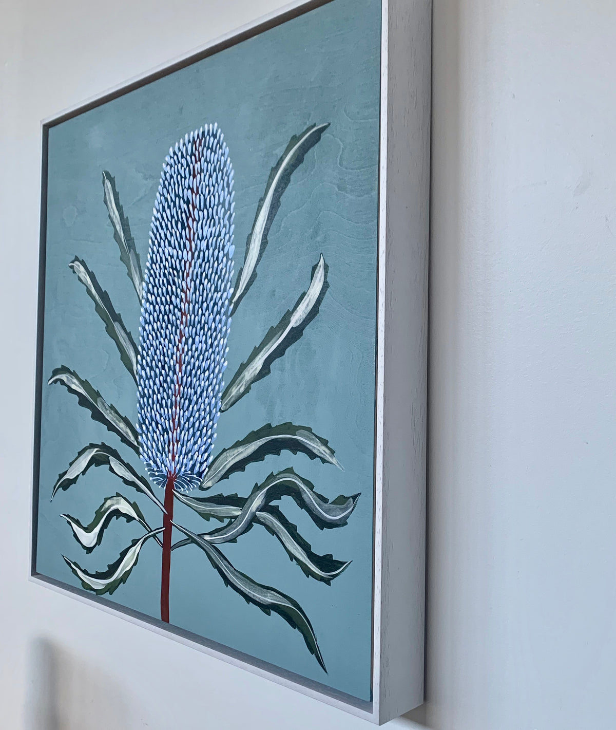 Blue Banksia Portrait