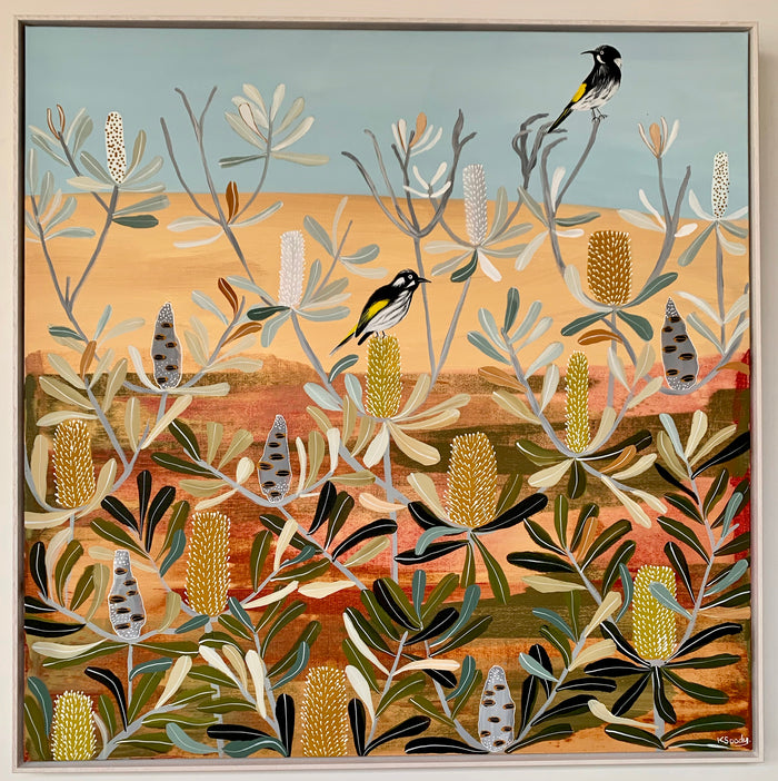 Coastal Honeyeaters