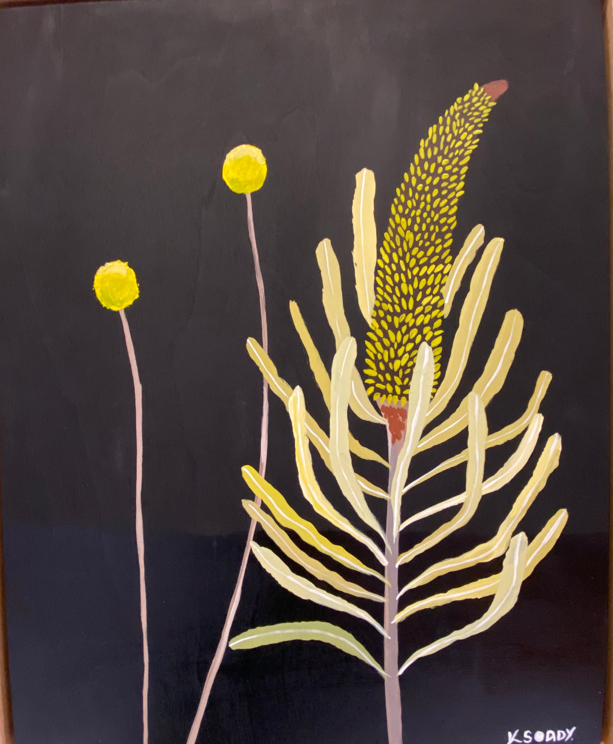 Billy Buttons and Banksia #2